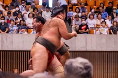 大相撲静岡場所（25）