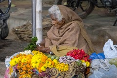 インド（４）