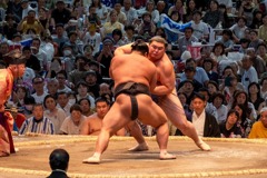 大相撲名古屋場所（19）