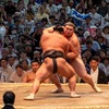 大相撲名古屋場所（19）