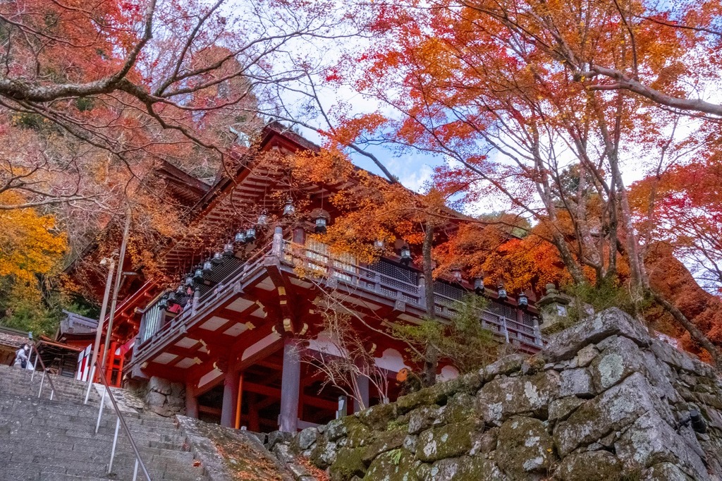 12月の奈良（60）