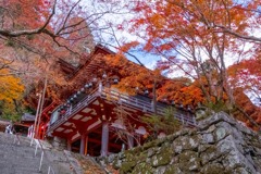 12月の奈良（60）