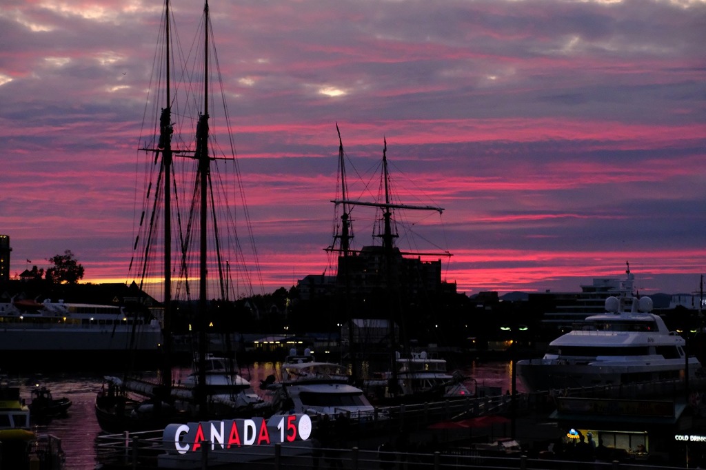 ビクトリアの夕日（４）