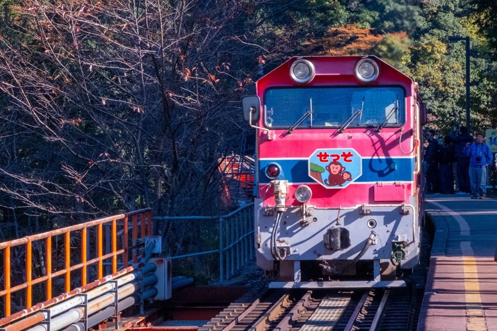 大井川鐡道の旅（18）