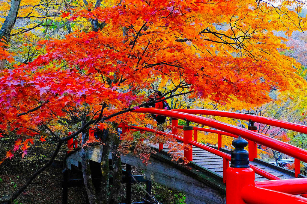 伊香保の紅葉（２）