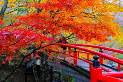 伊香保の紅葉（２）
