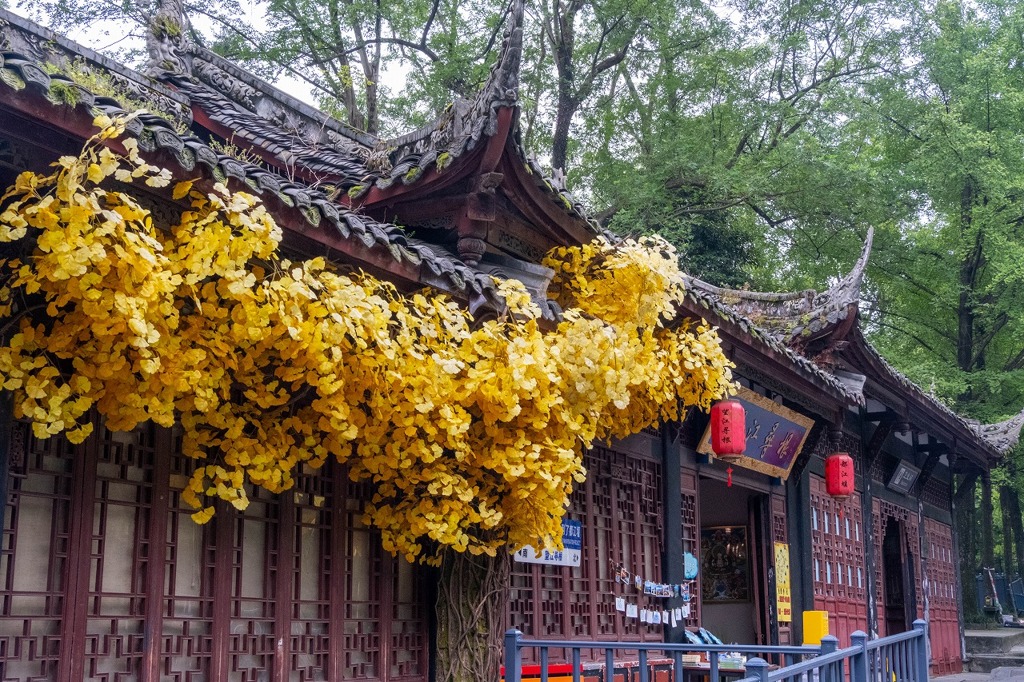 都江堰（10）