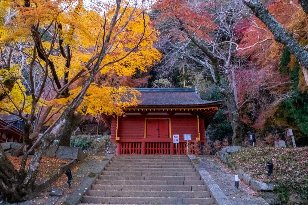 12月の奈良（77）
