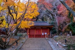 12月の奈良（77）
