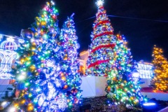 2020年クリスマス（15）