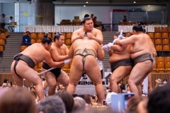 大相撲静岡場所（27）