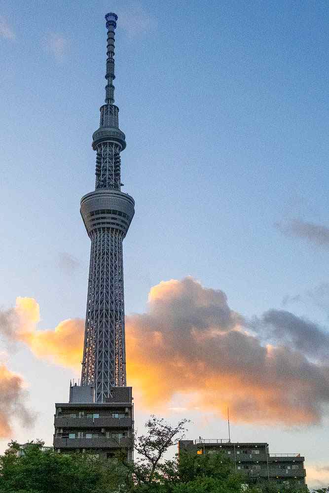 早朝のスカイツリー（２）