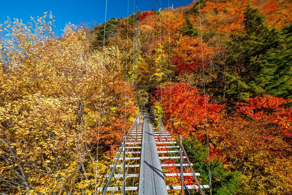 畑薙大吊橋（４）