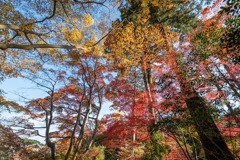 秋の比叡山延暦寺（５）