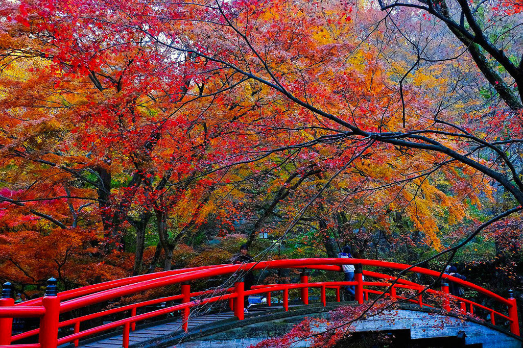 伊香保の紅葉（１）