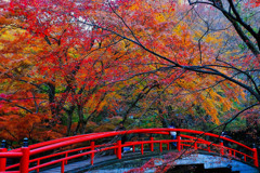 伊香保の紅葉（１）