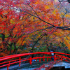 伊香保の紅葉（１）