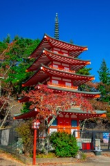 秋の忠霊塔（３）