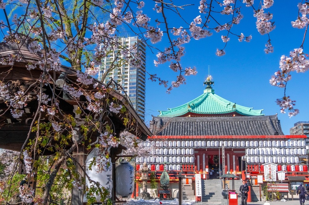 2020年東京の春（３）