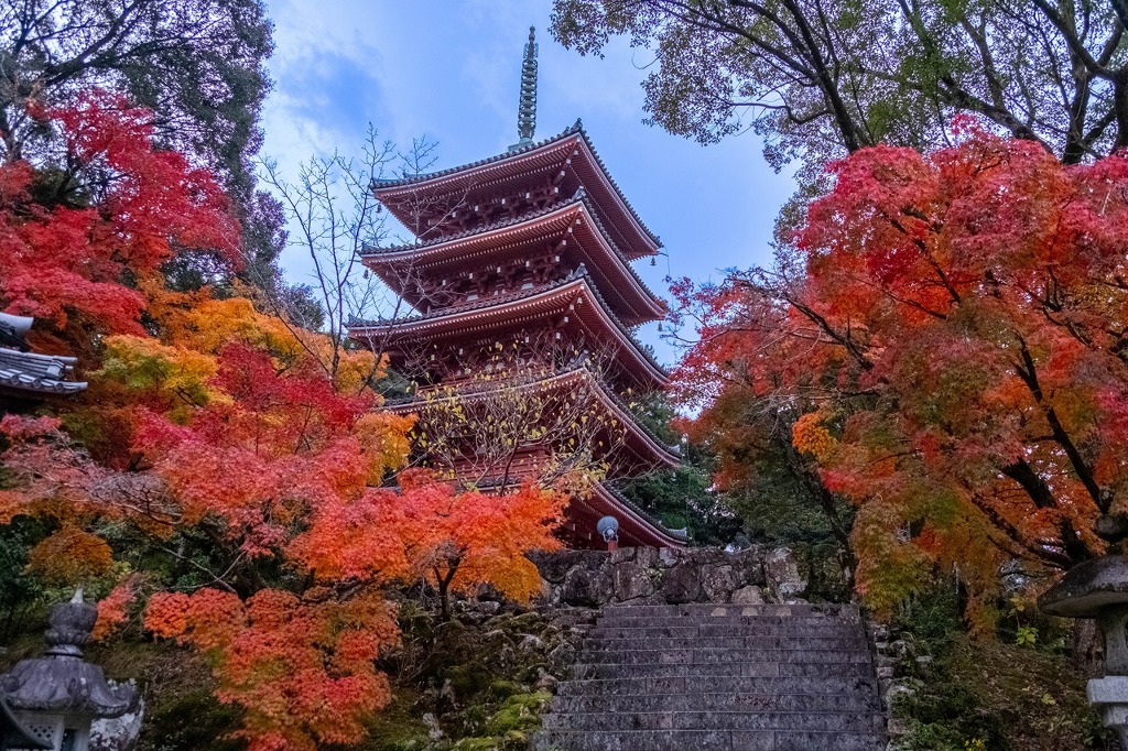 12月の高知（17）