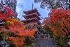 12月の高知（17）