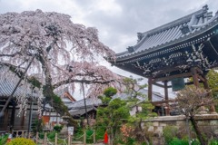 園明寺（２）