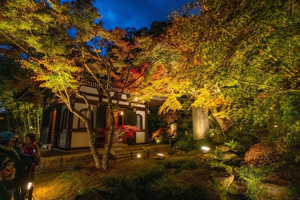 夜の長谷寺（13）