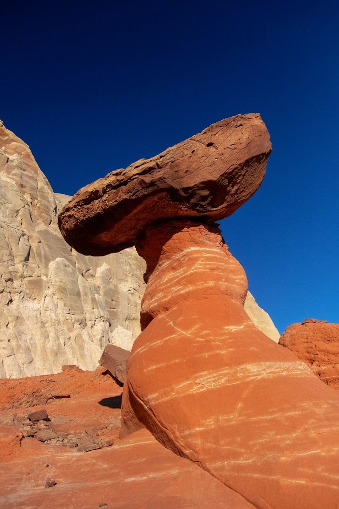 ドットストール（15）