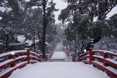 雪化粧の太鼓橋