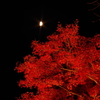 秋夜