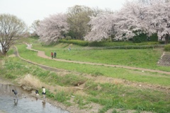 みんなの春
