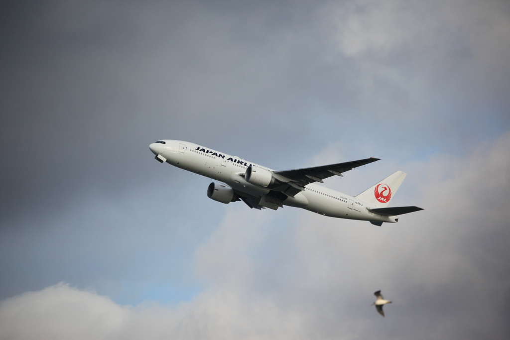 はじめての飛行機NO3