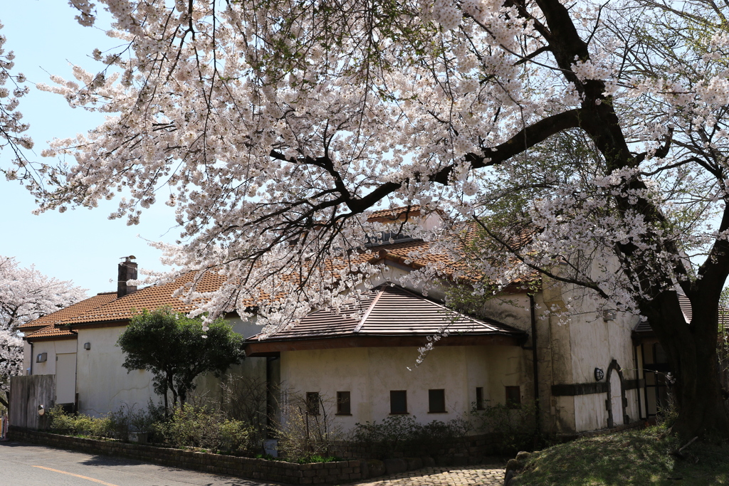赤城千本桜NO2