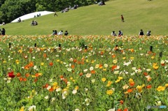 森林公園（埼玉県）