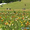 森林公園（埼玉県）