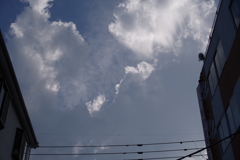 夏の空