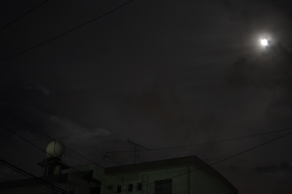 夜に吠える