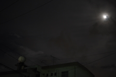 夜に吠える