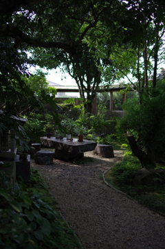 木陰にて