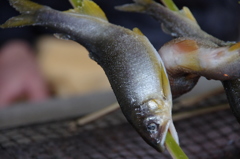 夏味