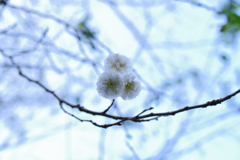 文字通り