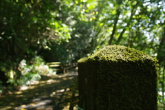 IMGP2270