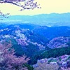 吉野山の桜吹雪