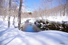 春の快晴ひとりじめ♪