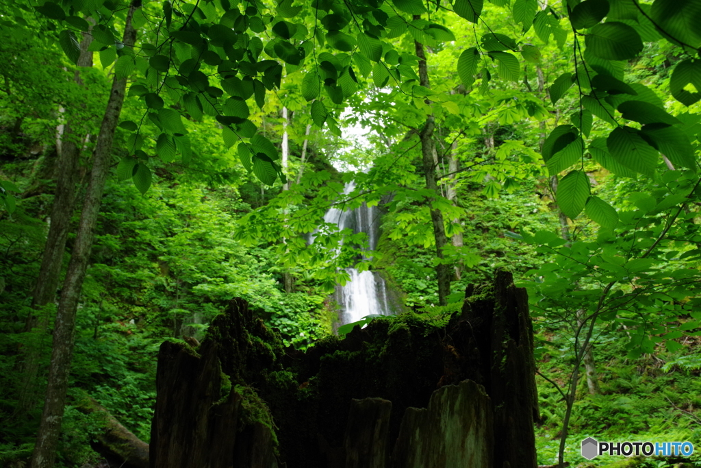 雲井の滝