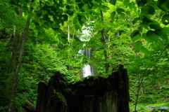 雲井の滝