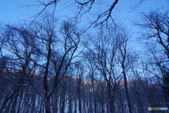 少しずつ朝日に照らされてゆく。