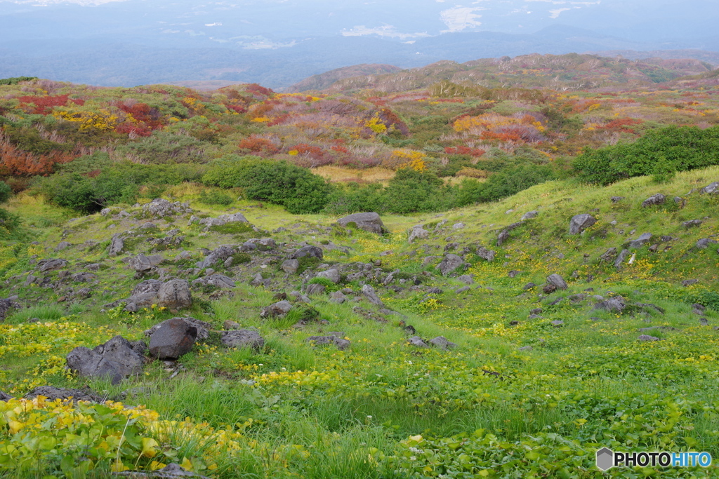 秋の鳥海山①