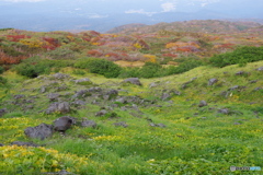 秋の鳥海山①