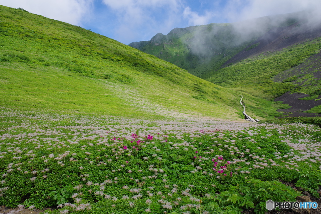 秋田駒ヶ岳